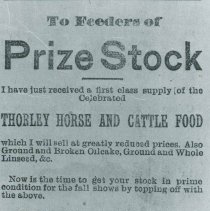 Grundy 196 - Photograph